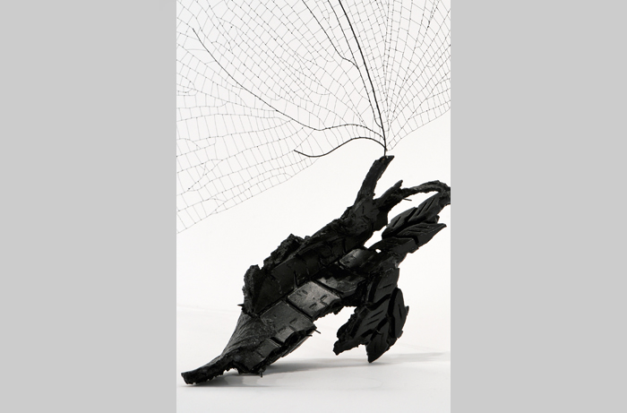 Spintread Detail