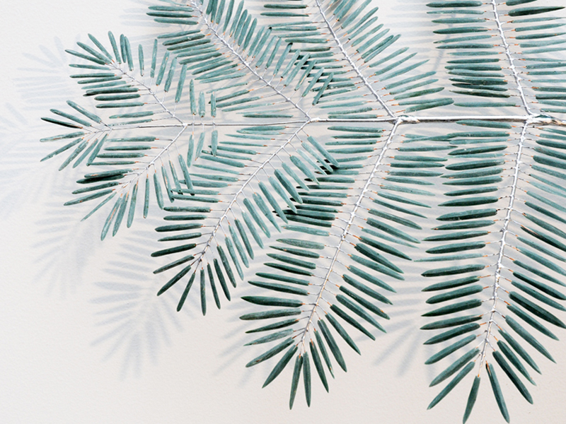 Trill_Detail